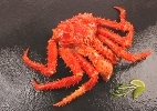 King crab whole