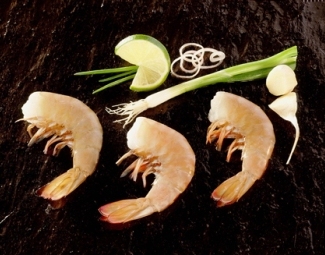 white shrimps HLSO