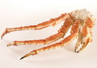 King crab cluster