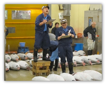 Tsukiji market super frozen tuna